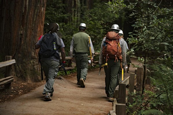 Tire-fort forestier : conseils pour l'utiliser correctement