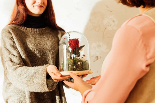 Rose éternelle sous cloche : les conditions d'entretien à retenir